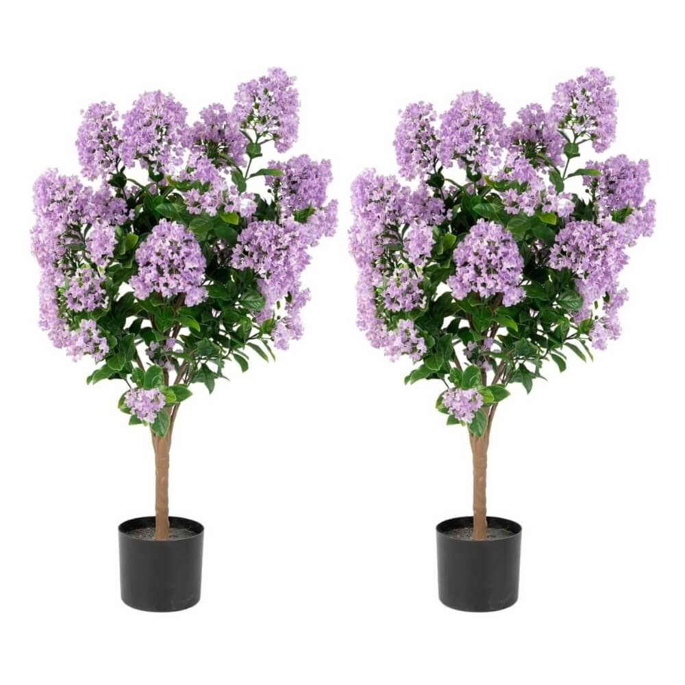 36″ Purple Crape Myrtle Tree (Set of 2)