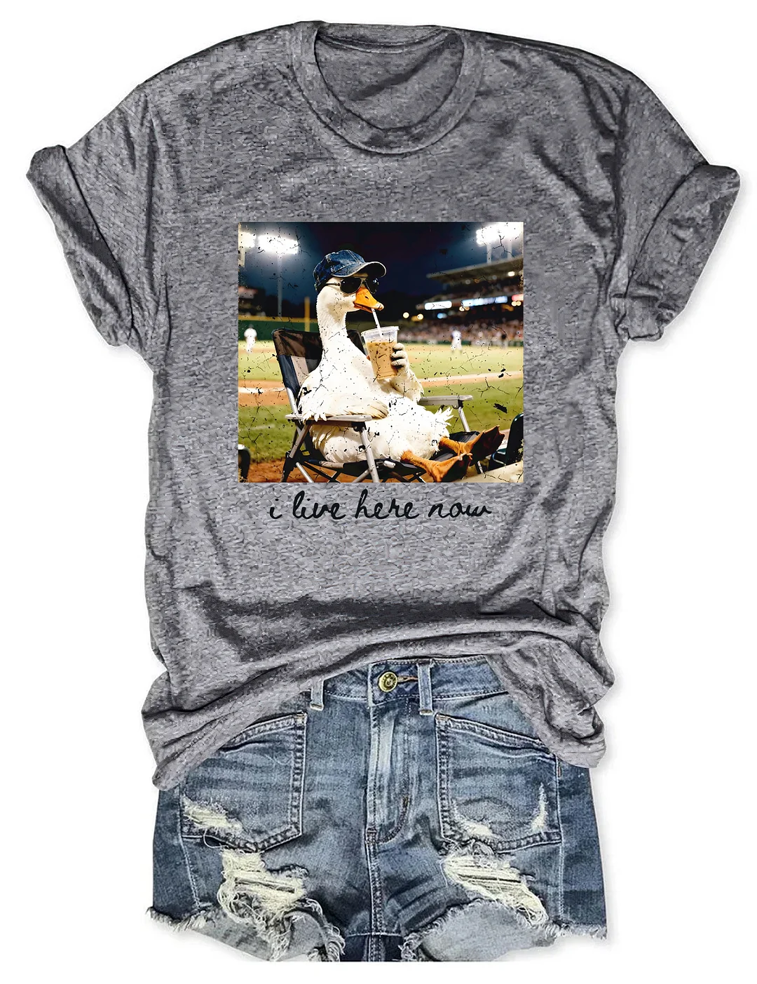 I live Here Now Goose Ballfield T-shirt