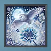 Diamond Painting-DIY Crystal Rhinestone Owl