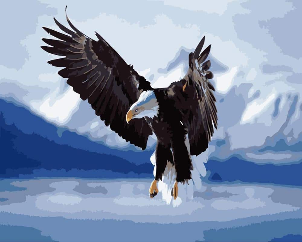 

Eagle Spreads Its Wing – Paint By Numbers - 40*50CM, 501 Original