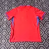 2025 Norway National Team Home Football Shirt 1:1 Thai Quality