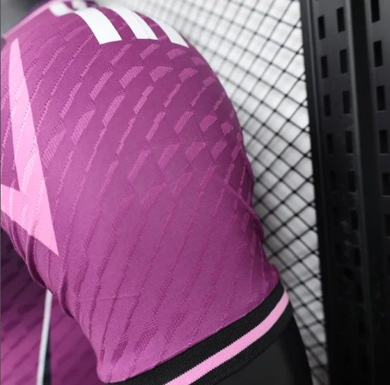 2024 Japan Special Edition Purple Player Version Football T-Shirt Thai Quality