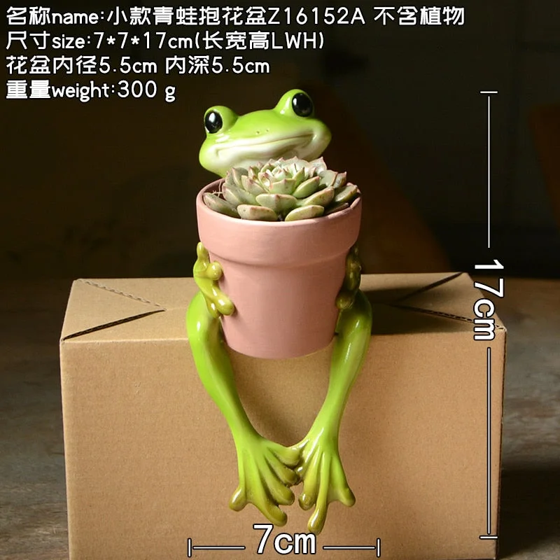Creative Clay Pots with Frog Ornament Succulent Pot Plant Pot Cactus Planter Pots Nursery Pot Garden Pot Home Decoration