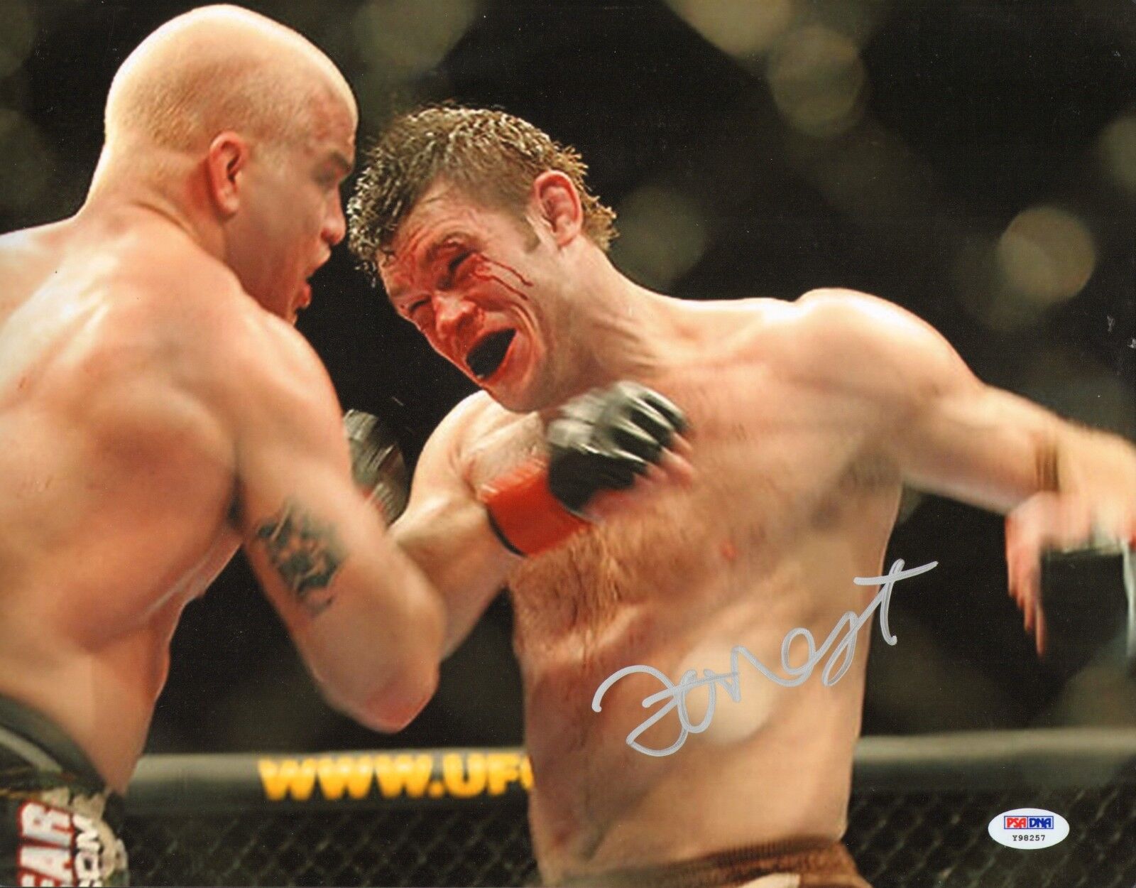 Forrest Griffin Signed UFC 11x14 Photo Poster painting PSA/DNA COA Picture Autograph 148 106 59