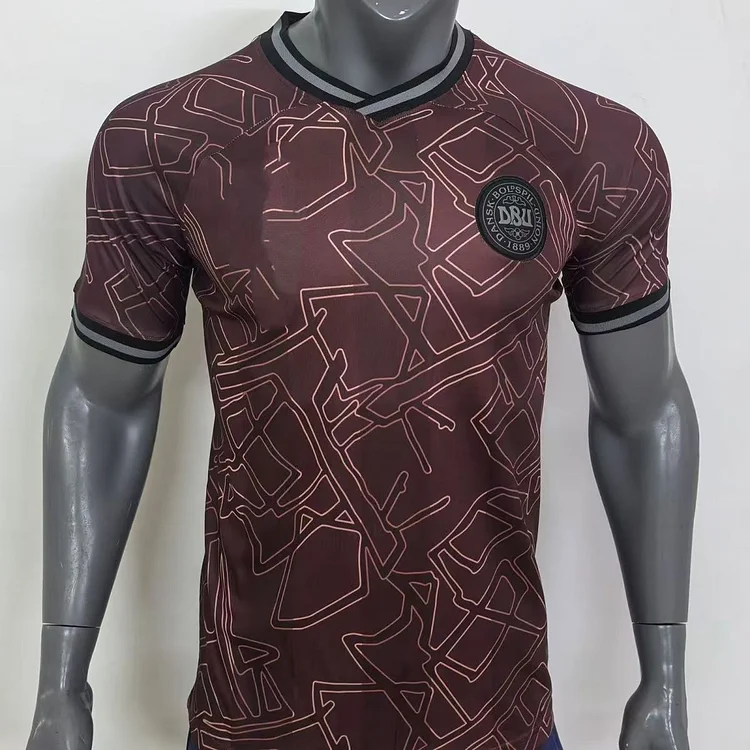 2024 Player Edition Denmark Special Edition Football Jersey