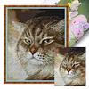 Angry Cat-14CT Stamped Cross Stitch 25*30cm/9.84*11.81in tapestrymarket