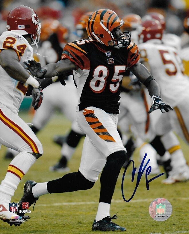 *CHAD JOHNSON*OCHOCINCO*SIGNED*AUTOGRAPHED*Photo Poster painting*CINCINNATI*BENGALS*8X10*COA*