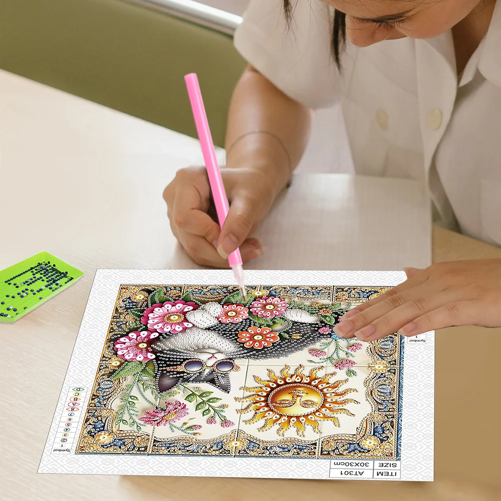 Diamond Painting - Partial Special Shaped Drill - Sun Cat(Canvas|30*30cm)