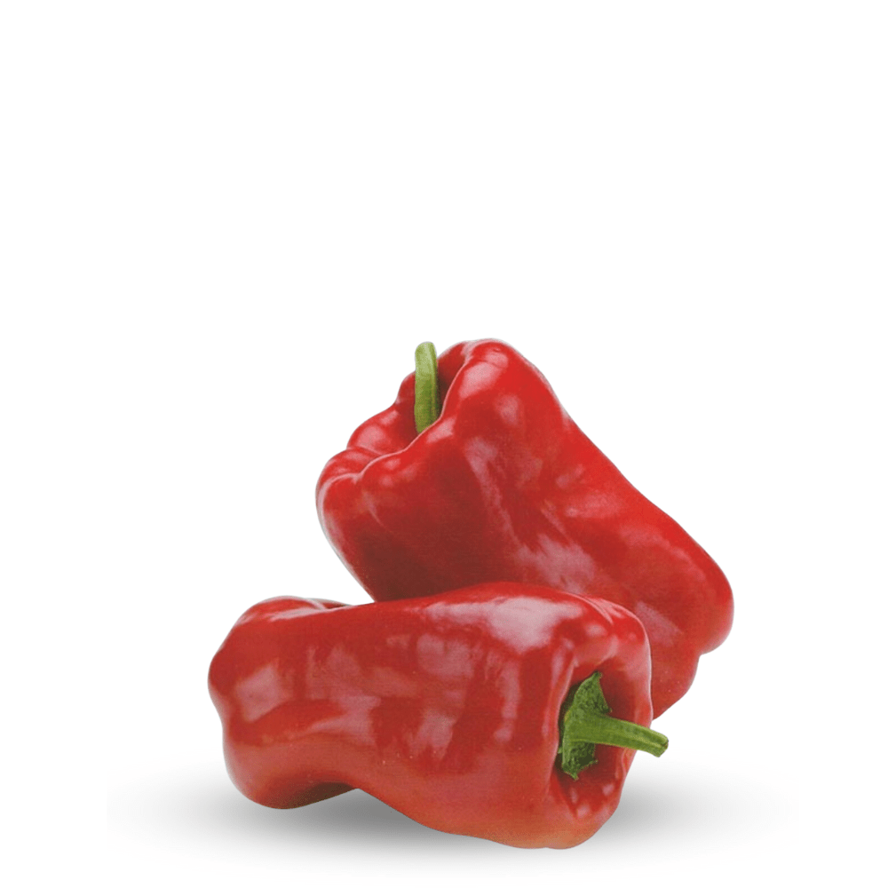 Heirloom Red Pepper &lsquo;Dulce de Espa&ntilde;a&rsquo; Seeds &ndash; Sweet Spanish