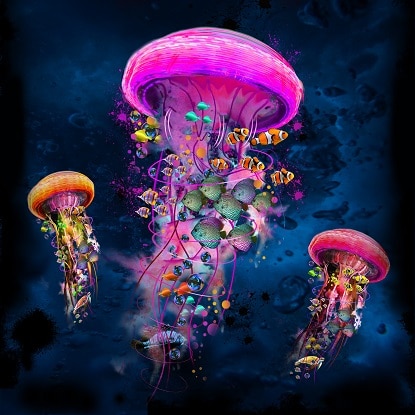 

Big Jellyfishs – Paint By Numbers - 40*50CM, 501 Original