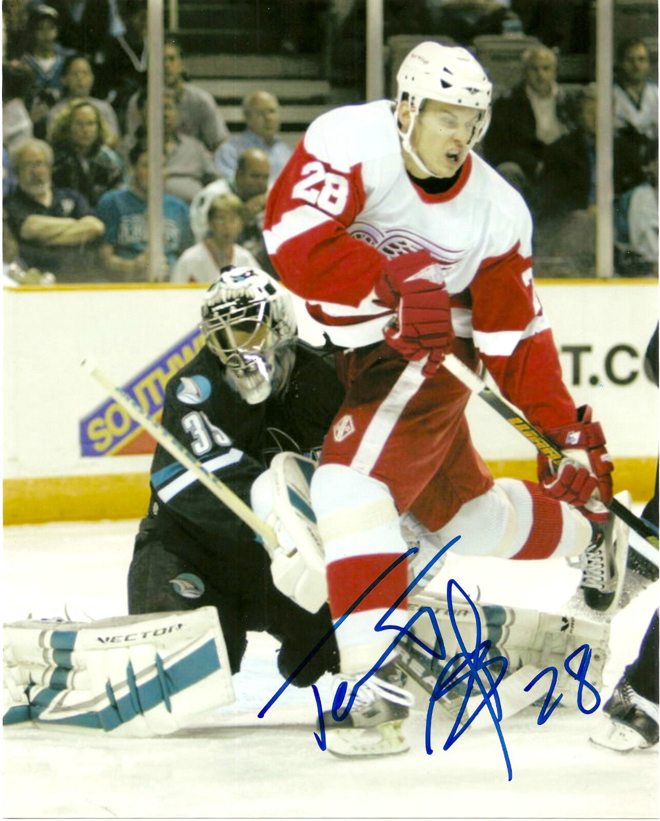 Detroit Red Wings Tomas Kopecky Signed Autographed 8x10 Photo Poster painting COA