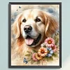 Golden Retriever And Flowers-11CT Stamped Cross Stitch 40*50cm/15.75*19.69in