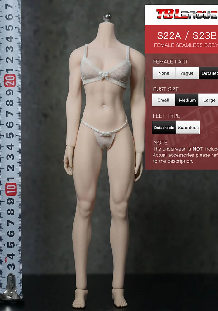 1/6 Body (Type) — GIANTOY action figures