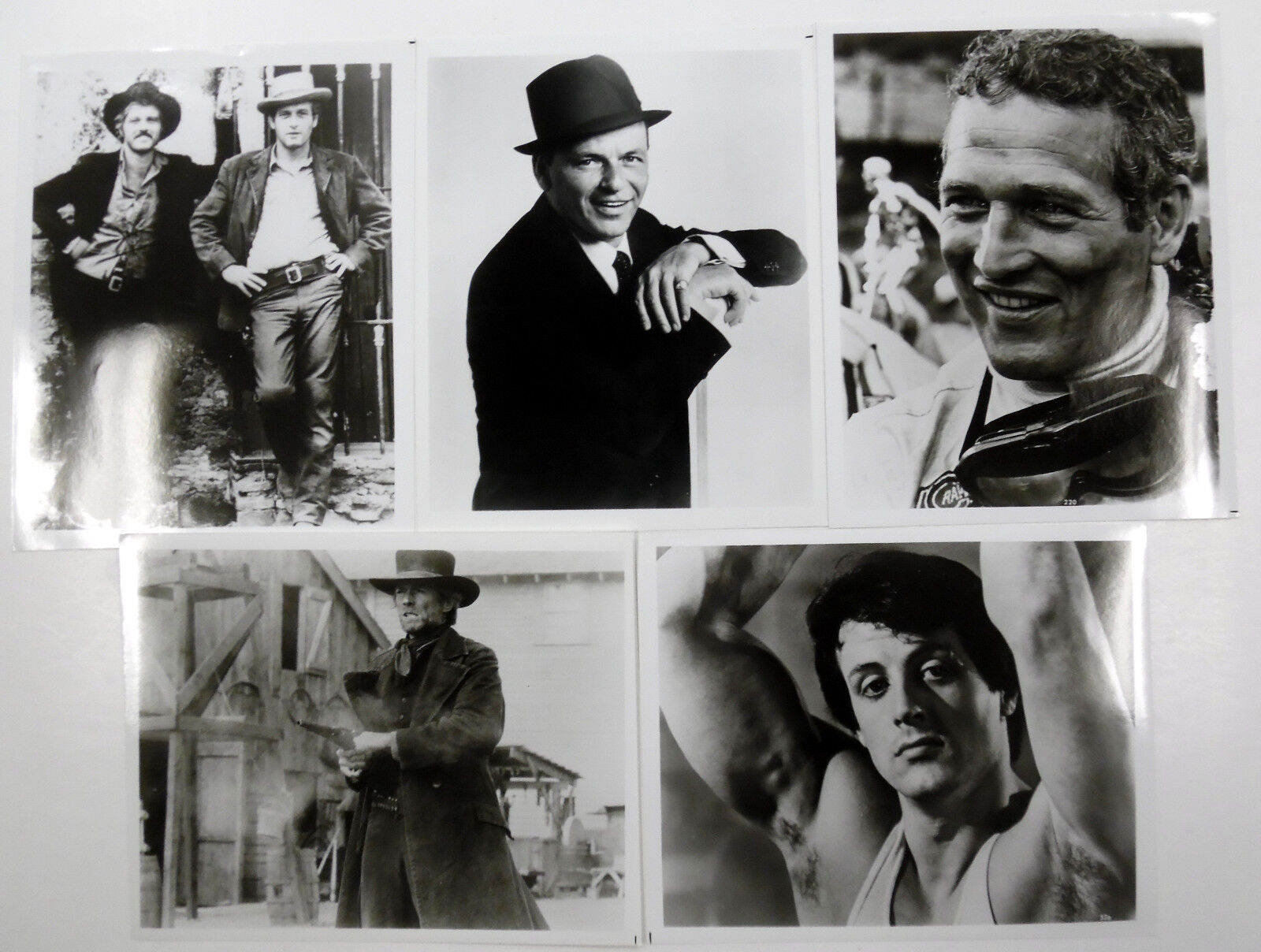 HOLLYWOOD HUNKS Lot Of (5) B&W 8 x 10 Photo Poster paintingS Sylvester STALLONE Redford NEWMAN