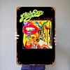 Steely Dan - Vintage Metal Signs - 20*30cm/30*40cm - Music