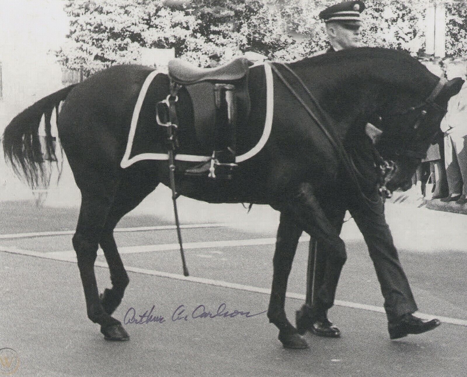 ARTHUR CARLSSON SIGNED AUTOGRAPH 8X10 Photo Poster painting RIDELESS HORSE JFK ASSASSINATION #2