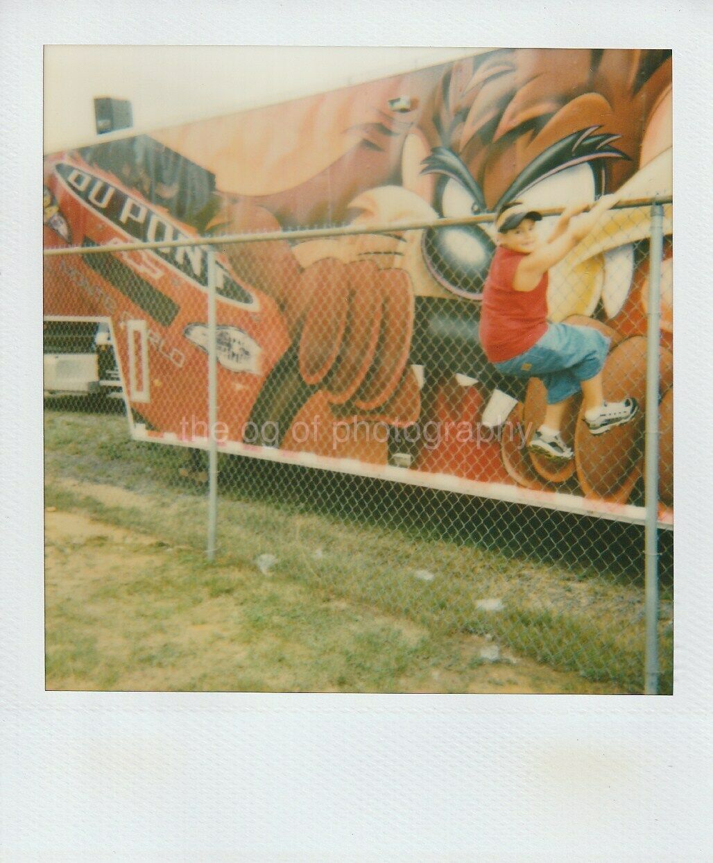 ON THE FENCE Vintage POLAROID Found Photo Poster paintinggraphOriginal COLOR 97 9