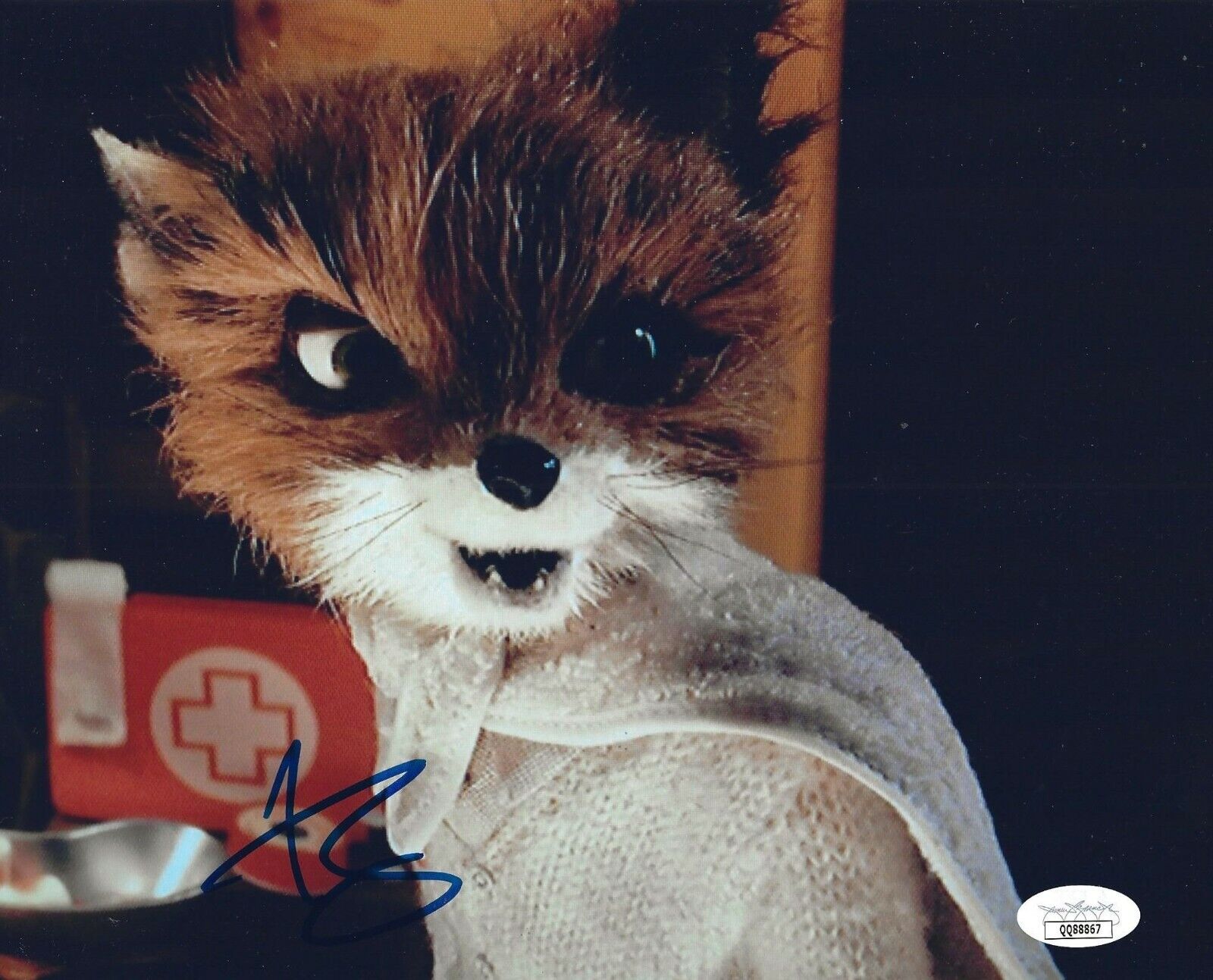 Jason Schwartzman signed Fantastic Mr. Fox 8x10 Photo Poster painting autographed Ash Fox JSA