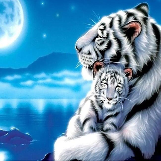 Peinture de diamant - Ronde partielle - Tigre