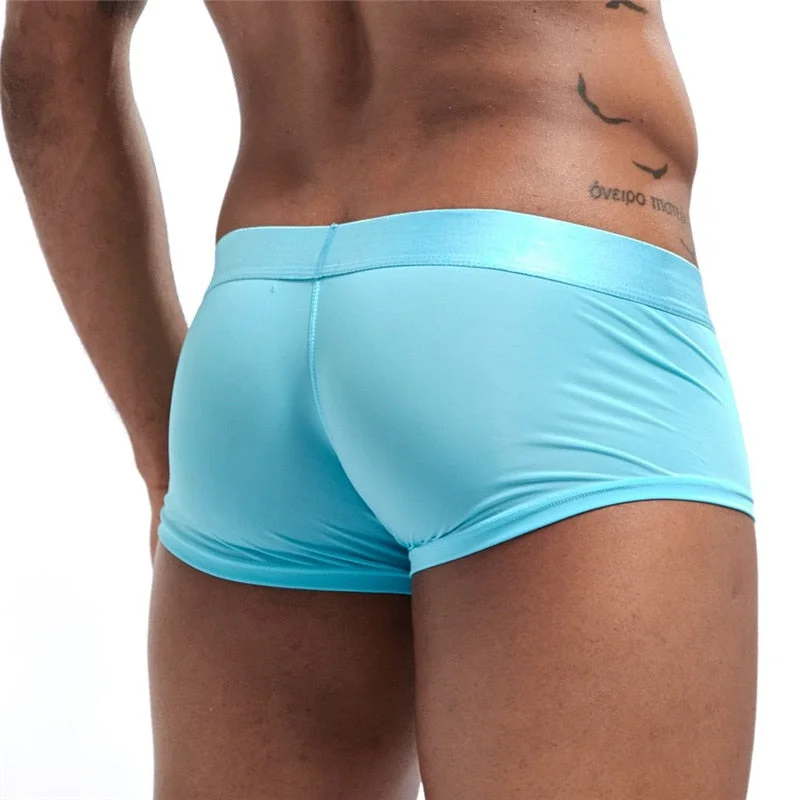 Aonga     Men  Underwear Ice Silk transparent Mesh Homme Breathable Cuecas Masculinas Calzoncillos Hombre Slip Boxershorts
