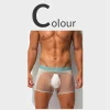 Men's Sexy Ultra-Thin Ice Silk Mesh-Panelled Transparent Boxer Briefs