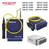 Raycus Original 20W 30W 50W 100W Q-switched Pulse Fiber Laser Source