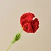 (Finished Product)Crochet Carnation Artificial Carnation Exquisite Aesthetic for Gift Home Office Decor