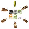 5Pcs Pantry Moth Traps with Pheromones Prime Powerful Moth Traps (Black)