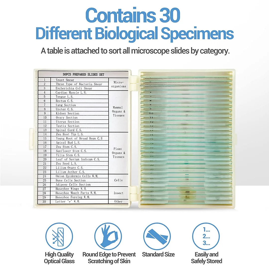 BEBANG 30 Microscope Slides with Specimens for Kids, Prepared Microscope Slides for Kids Microbiology, Glass Slides for Microscope, Biology Gifts for Adults Kids