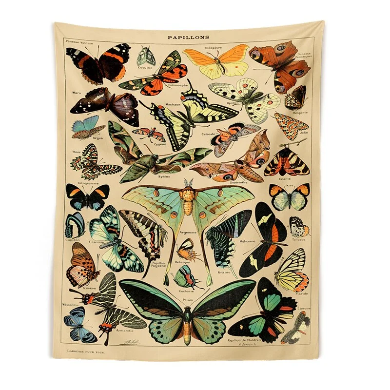 Butterfly Illustration Chart Tapestry Vintage Tapestries Aesthetic Tapestry Chart Tapestry Colorful Tapestry Wall Hanging