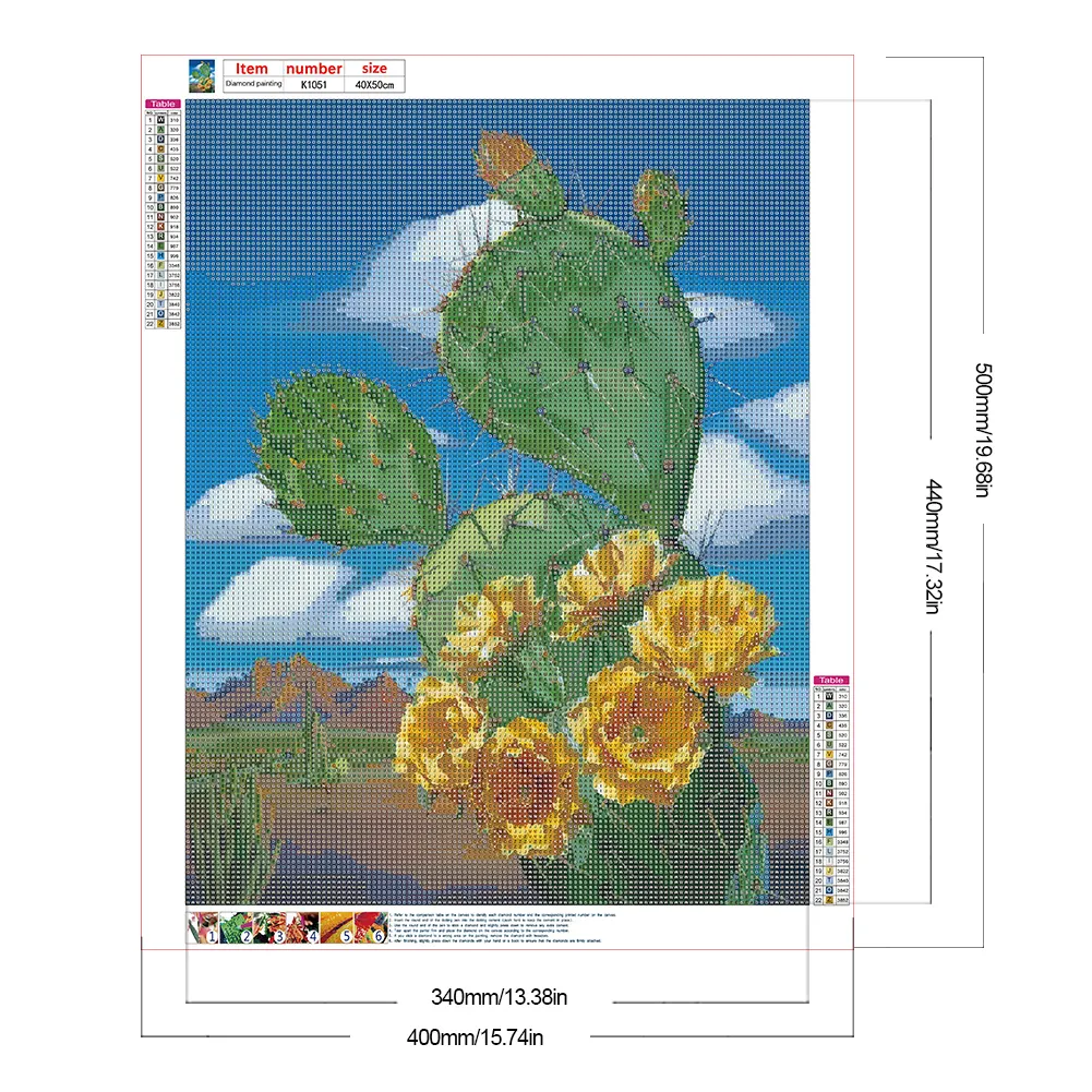 Full Round Diamond Painting 40*50cm - Cactus Flower