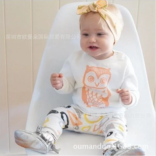 Bump Baby Long Sleeve Novelties T Shirt Owl Pants Clothes