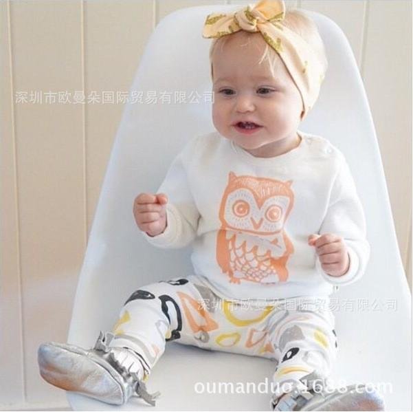 Bump Baby Long Sleeve Novelties T Shirt Owl Pants Clothes