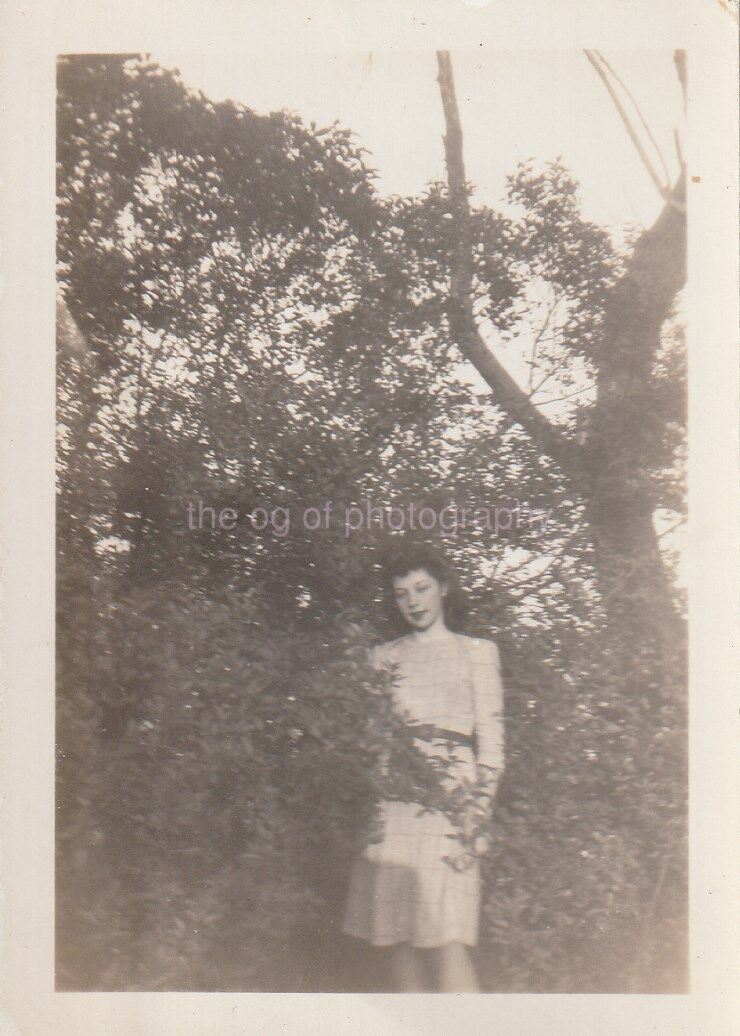 TREE GIRL Vintage FOUND Photo Poster painting Woman bwOriginal Snapshot 84 17