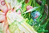 GX Evolution Series Venusaur Family with LED - Pokemon Resin Statue - Fantasy Studios