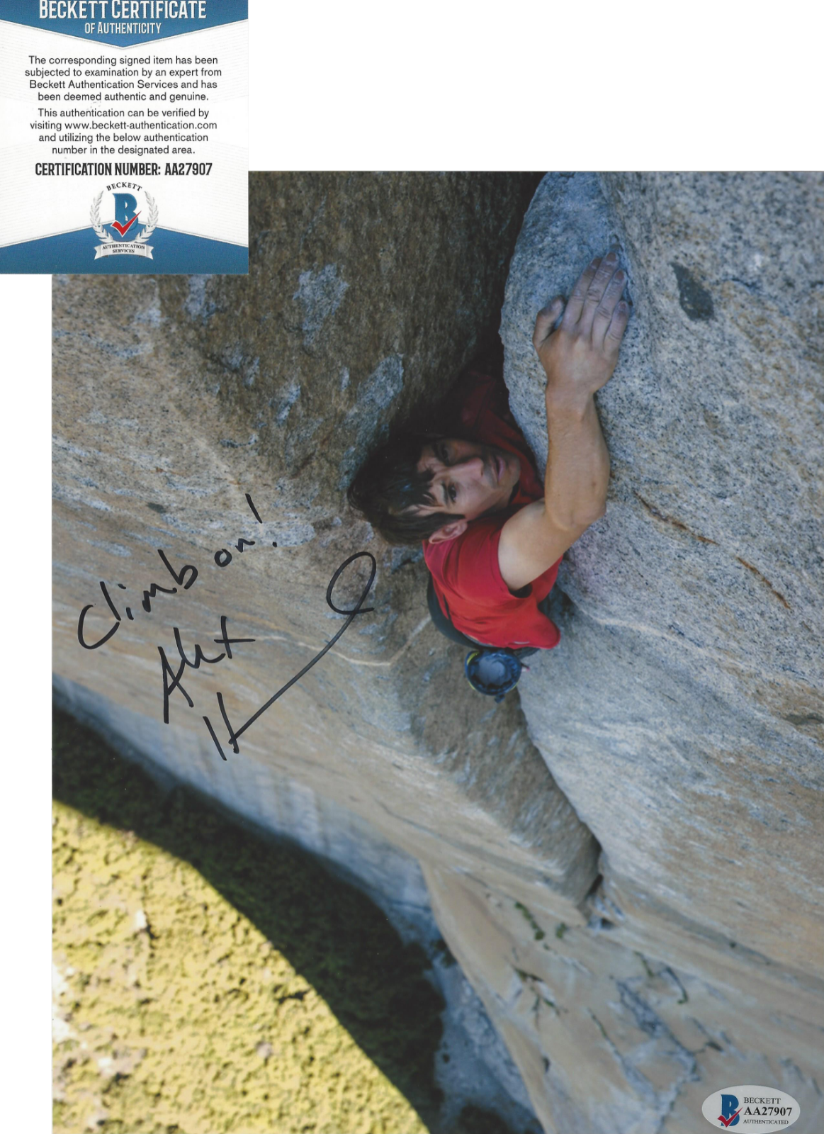 ALEX HONNOLD SIGNED  SOLO ROCK CLIMBER CLIMBING 8x10 Photo Poster painting BECKETT BAS COA