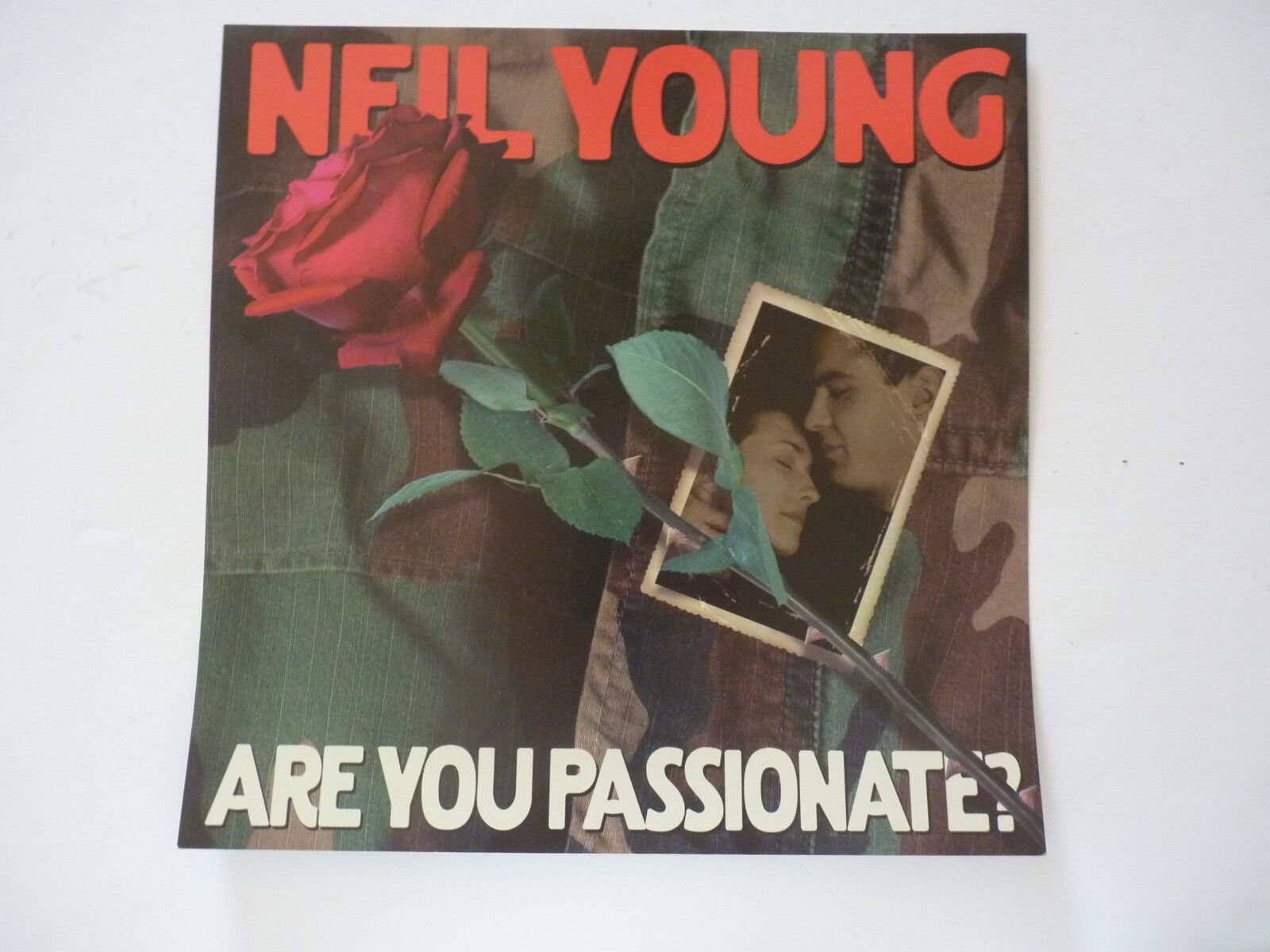 Neil Young Are You Passionate? LP Record Photo Poster painting Flat 12x12 Poster