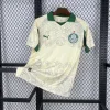 25/26 Palmeiras Special Soccer Jersey