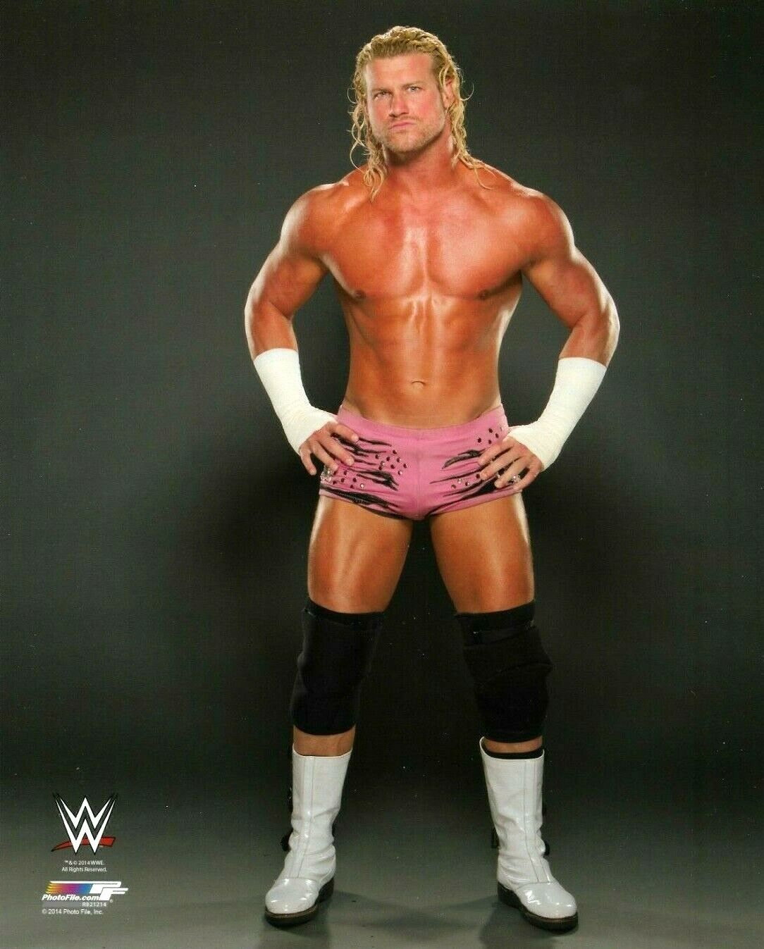 WWE DOLPH ZIGGLER OFFICIAL LICENSED ORIGINAL 8X10 WRESTLING Photo Poster painting FILE Photo Poster painting 6