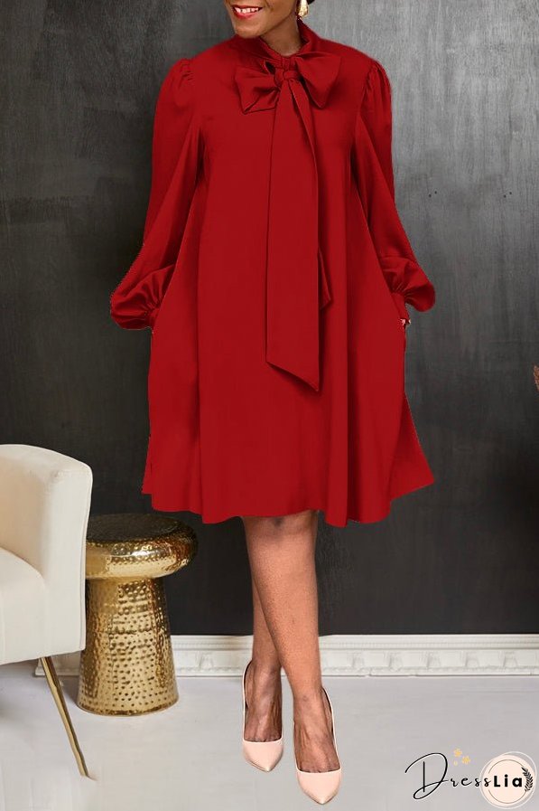 Tailored and Elegant winter Dress