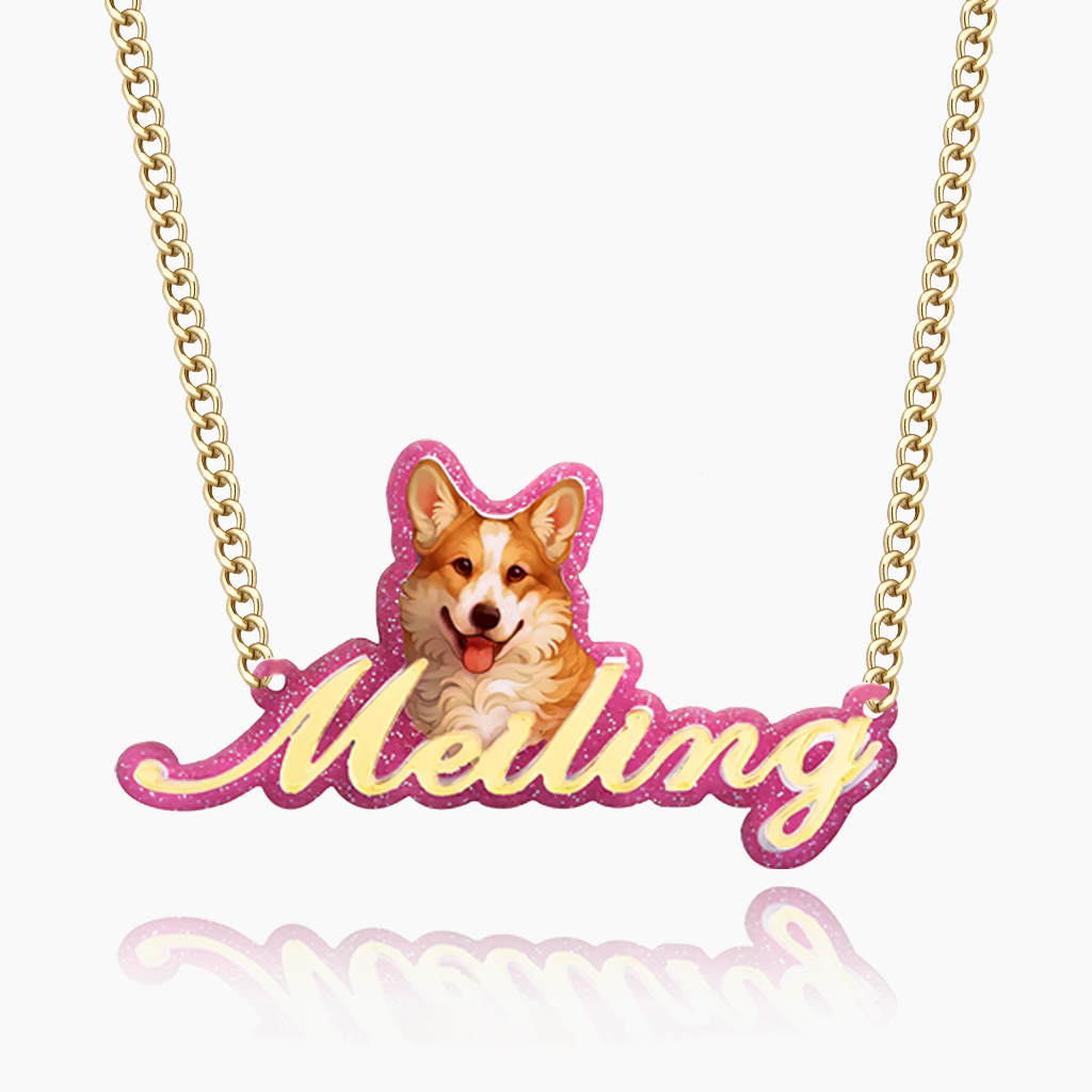 Acrylic Nameplate Necklace For Pet Dogs