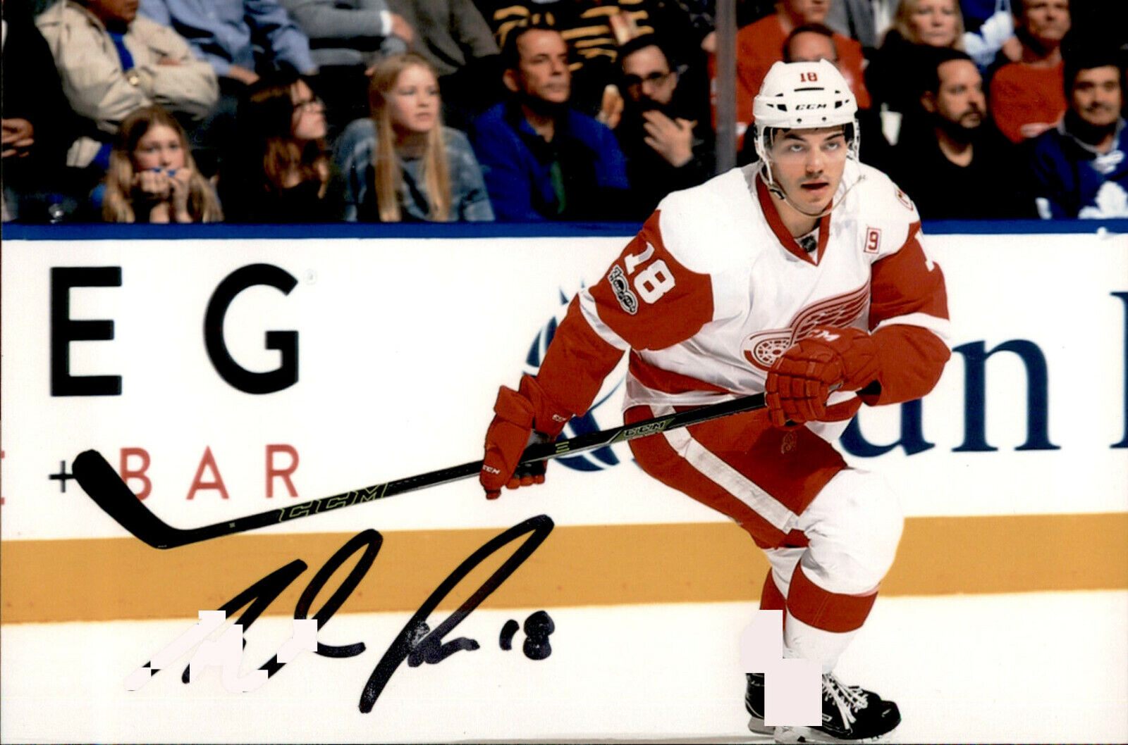 Robbie Russo SIGNED 4x6 Photo Poster painting DETROIT RED WINGS #3