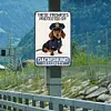 These Premises Protected By Dachshund Security - Metal Tin Signs(8*12Inch/12*16Inch)