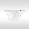 Men's Low Rise Sexy Ice Silk 3D U-Shaped Pouch Briefs
