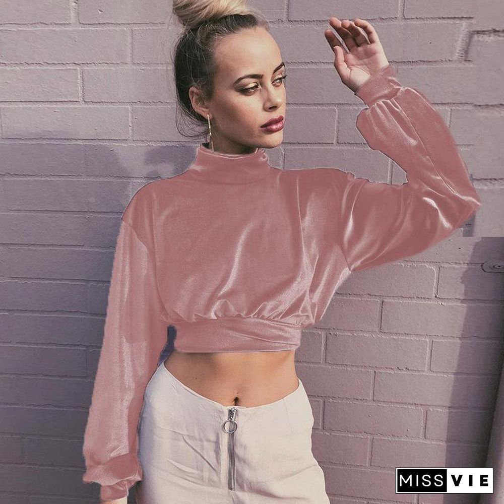 High Neck Midriff Baring Velvet Long Sleeve Top