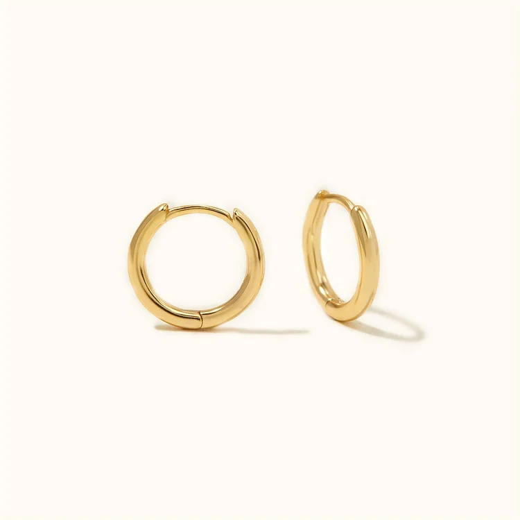 Small Hoop Earrings