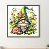 Peinture diamant diamant gnome rond-30*30cm