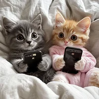 Kitten playing with mobile phone - Diamond Painting