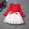 Baby Girl Dress Wearing Bow Flower Autumn Princess Dress