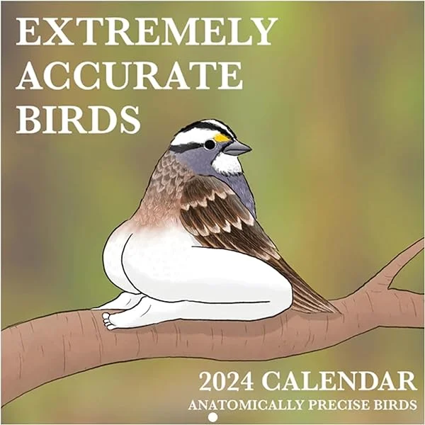 Calendar 2024 Funny Birds Wall Calendar 2024 Anatomically Precise Birds Calendar Wall Decor Monthly Planner 2024 Funny Gifts For Friends Bird Lovers